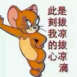 吃瓜群众免费吃瓜照片,揭秘吃瓜群众的欢乐时光