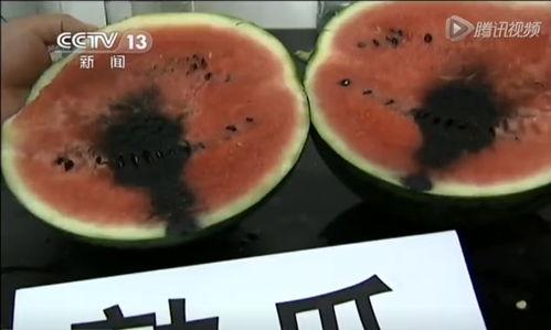 揭秘吃瓜骗局视频播放,视频播放背后的真相大曝光