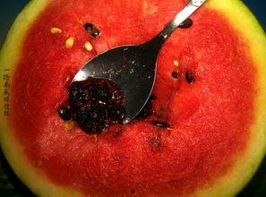 奇葩家具带你吃瓜,带你领略家居界的“吃瓜”盛宴