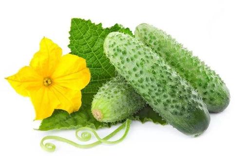 吃瓜系统楚新月,揭秘吃瓜系统背后的神秘力量