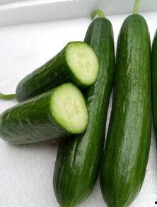 绿瓜咋吃,探索绿瓜的美味之旅