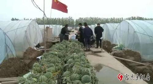 宿迁吃瓜群众,揭秘当地独特饮食文化