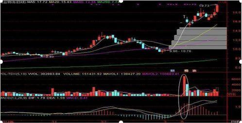 吃瓜观众的股票,吃瓜观众的投资心得与股票解析