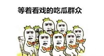 吃瓜群众注解