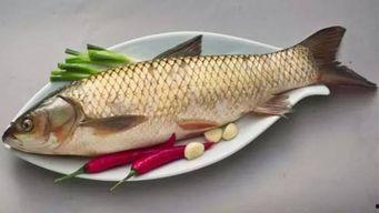 鱼吃哈密瓜吗,不可思议的跨界美食探索