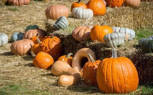 核爆圈吃瓜现场,吃瓜群众围观惊心动魄一幕