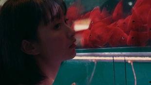 被吃瓜的女孩,揭开被吃瓜女孩的神秘面纱