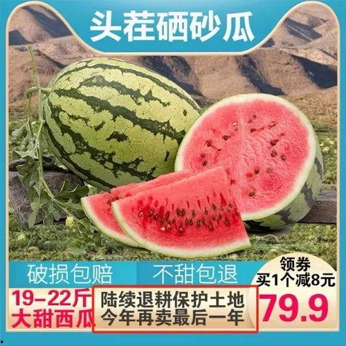 中卫吃瓜,揭秘当地特色美食背后的故事