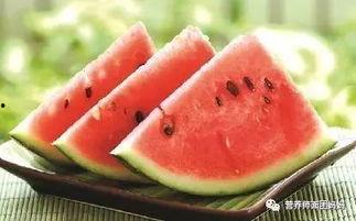 树瓜怎么吃,解锁美味新体验