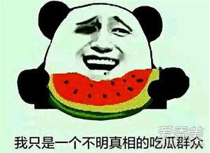 吃瓜老头什么意思,网络热词背后的文化现象